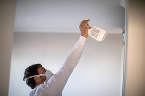 Best Commercial Mold Removal  in Silverdale, WA