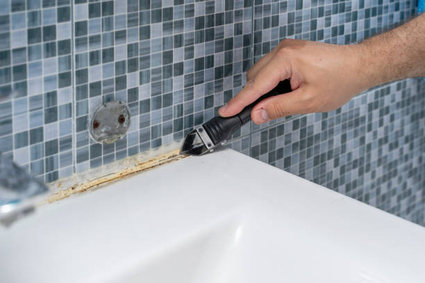  Silverdale, WA Mold Removal Pros