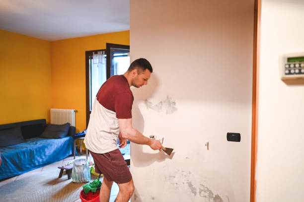 Best Attic Mold Removal  in Silverdale, WA