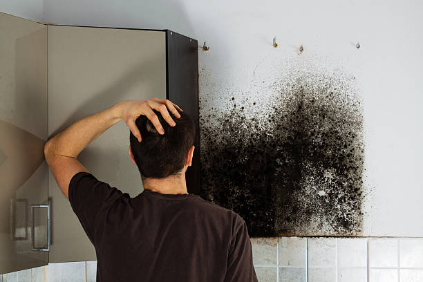Best Crawl Space Mold Removal  in Silverdale, WA